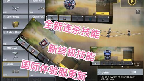 国际体验服最新爆料,揭秘游戏新内容与玩法革新